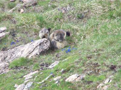 Kaprun Stuwmeren – hooggebergte (1.068 – 2.040m) Kaprun Stuwmeren – hooggebergte (1.068 – 2.040m)